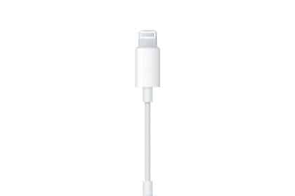 Apple Lightning to 3.5mm headphone jack adapter.